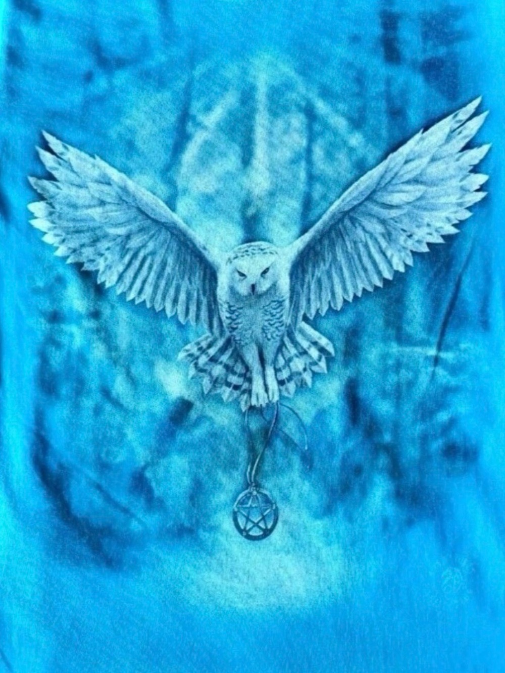 The Mountain Blue Owl Graphic Short Sleeve Tee